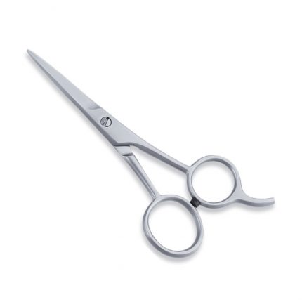 Economy Hair Scissor